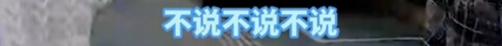 “我勇敢！”警车里，“小男子汉”边哭边给自己打气