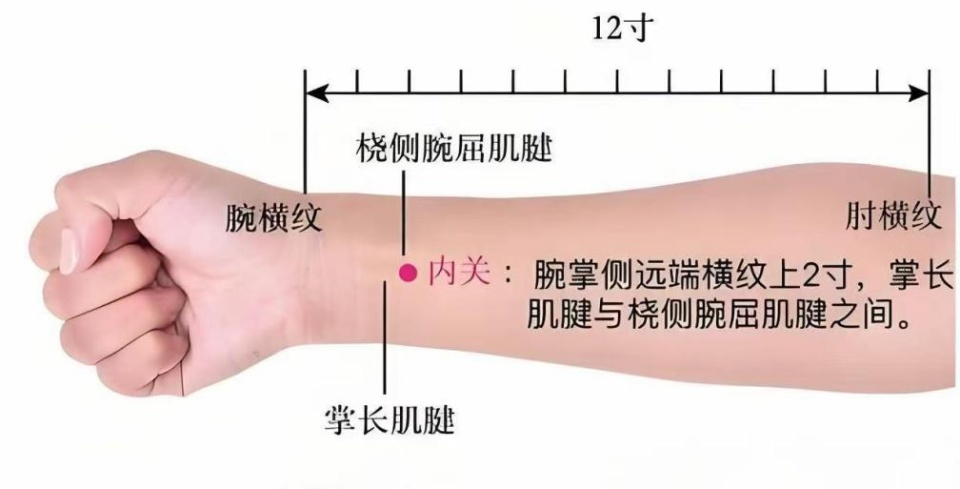 一紧张就想拉肚子，越想睡越失眠？精神科专家教你读懂“压力”信号，从容应对体育中考