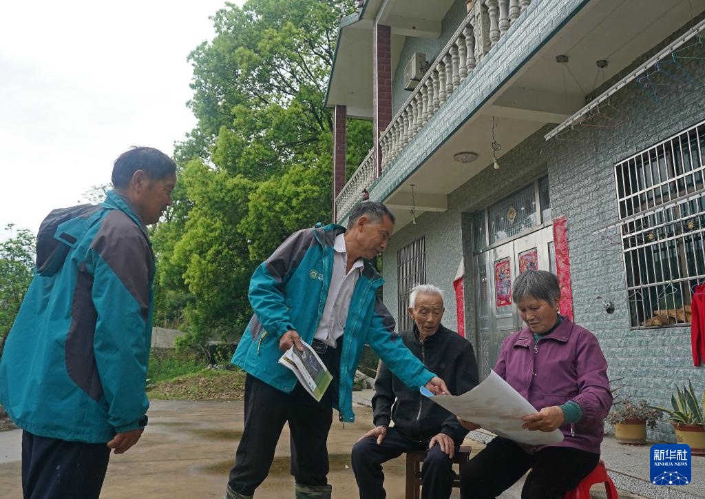 鄱阳湖畔苍鹭村：28年守护 人鸟共家园
