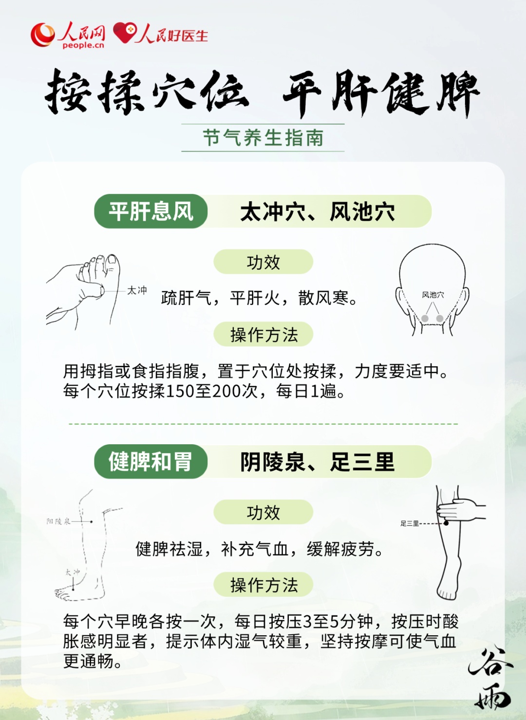 甩掉黏腻“湿气”！谷雨养生指南来了