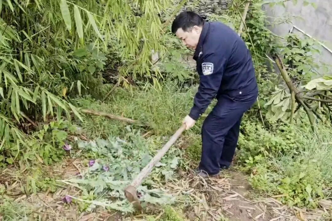 学以致用！小学生慧眼识毒，获警察叔叔点赞！
