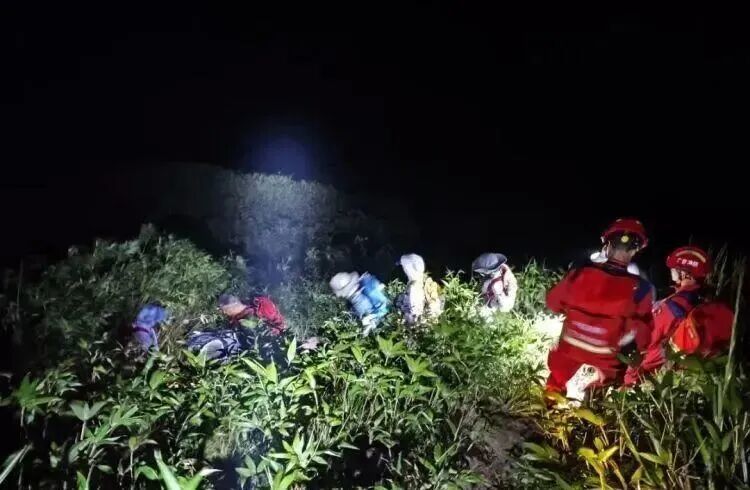 违规进入十万大山保护区，立案调查！