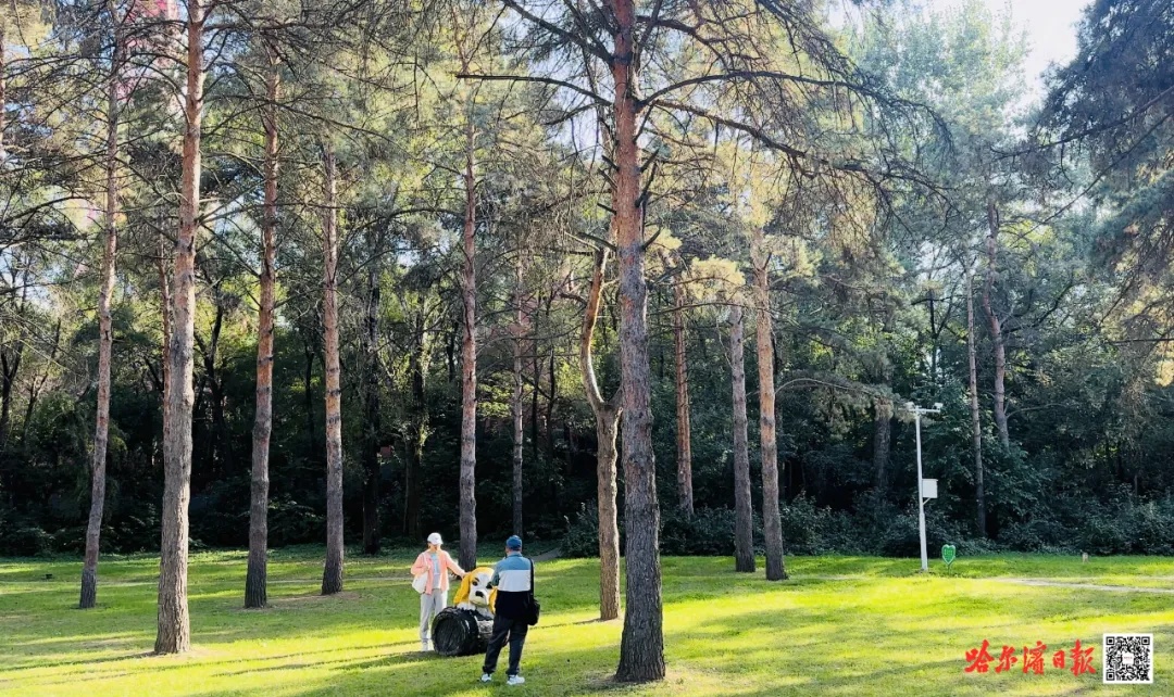 免费！黑龙江省森林植物园本周六开园