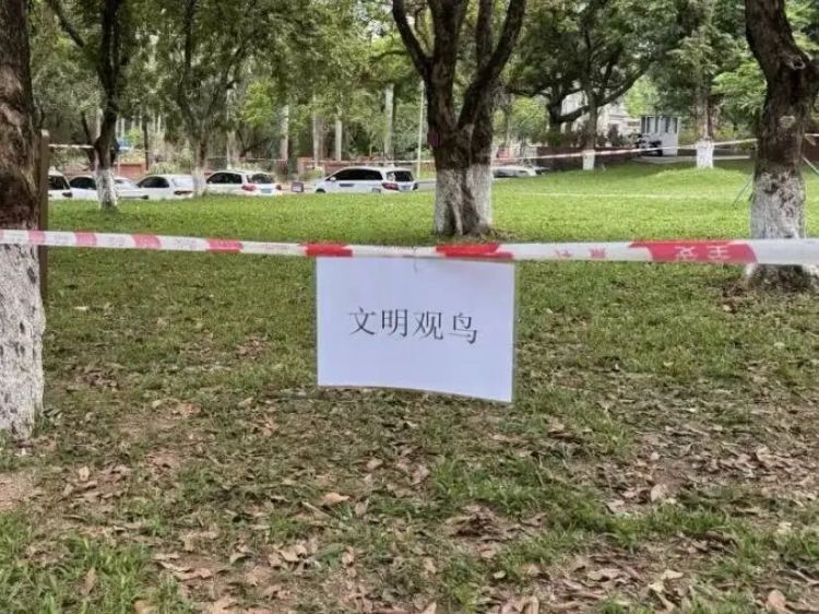 铁丝、死蛙、放狗吓鸟，网友称广州多个公园出现“诱拍装置”，园方回应