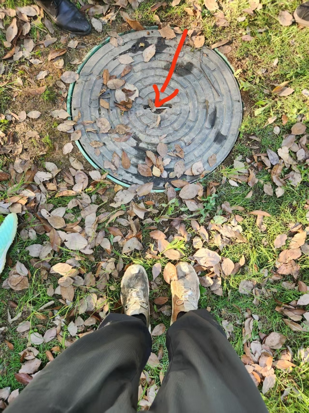 长沙一岁幼童在湿地公园玩耍坠入窨井，管理方：已整改，愿商讨赔偿