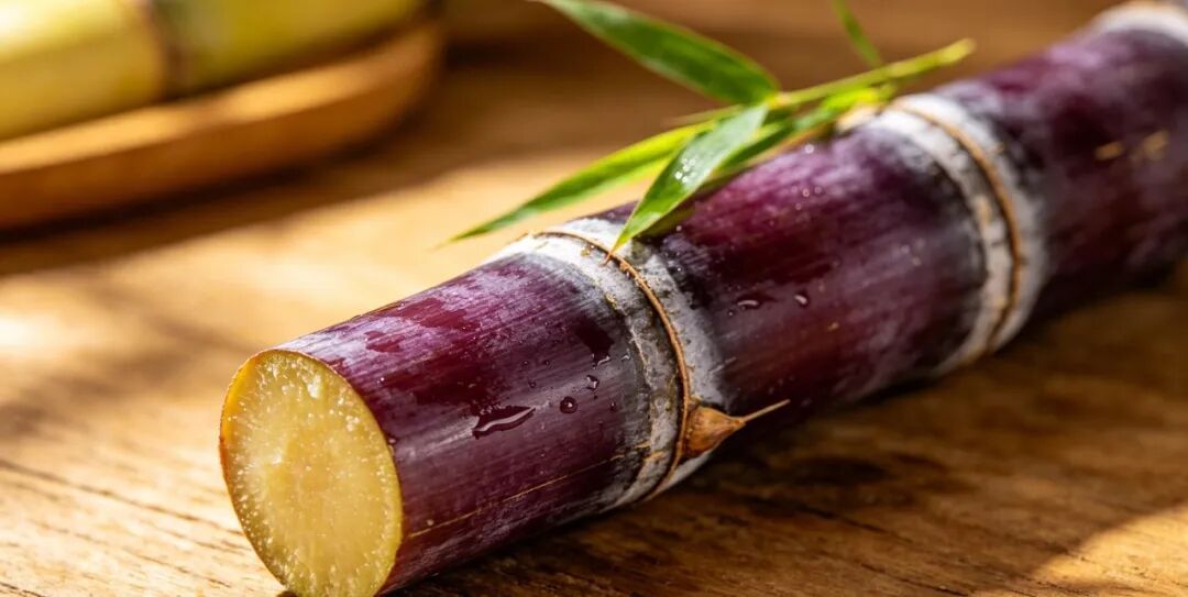 4 月吃它要当心！毒性不小，千万别误食