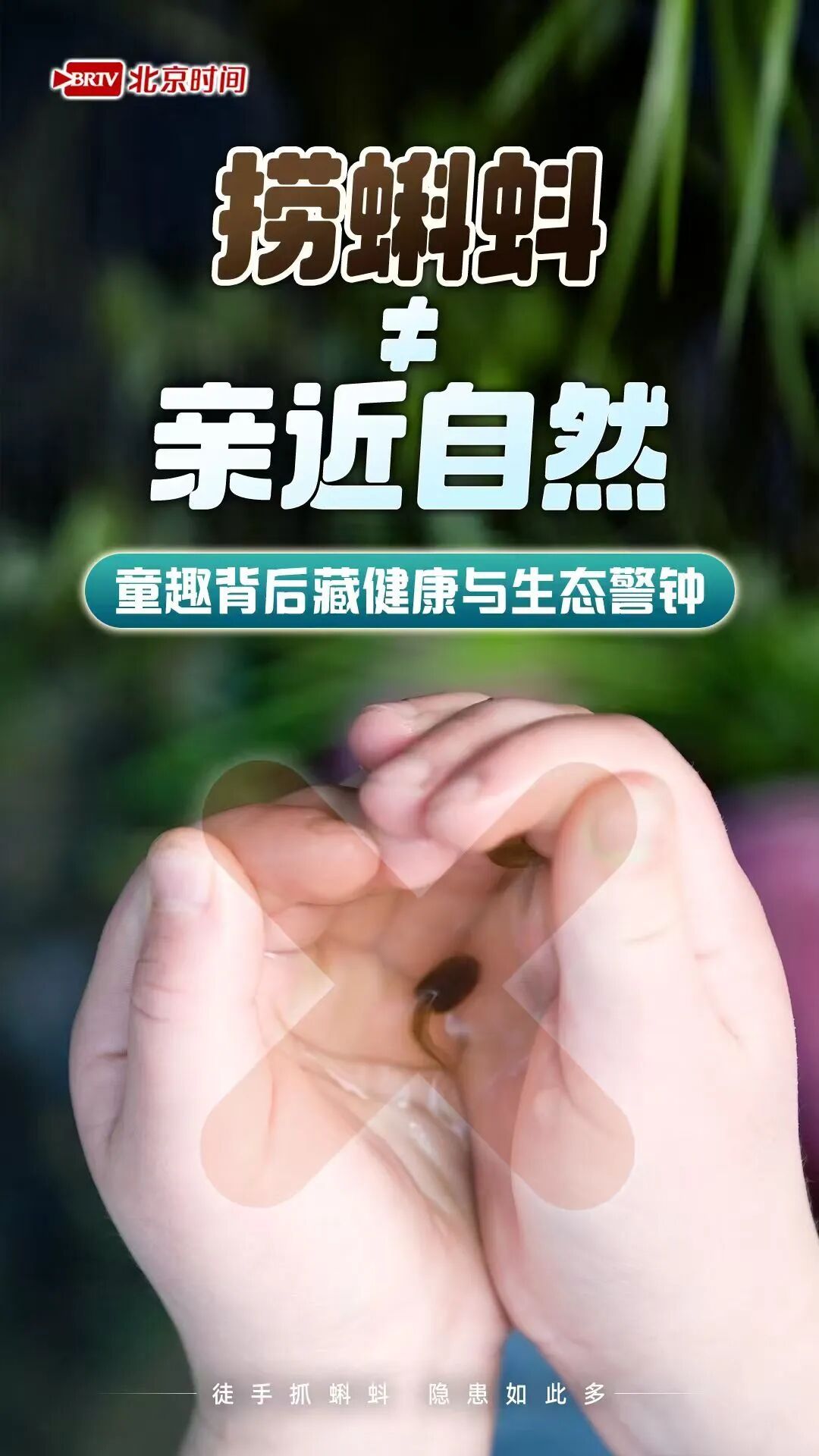 不捞不碰不带走！带娃徒手捞蝌蚪，竟有这么多健康风险
