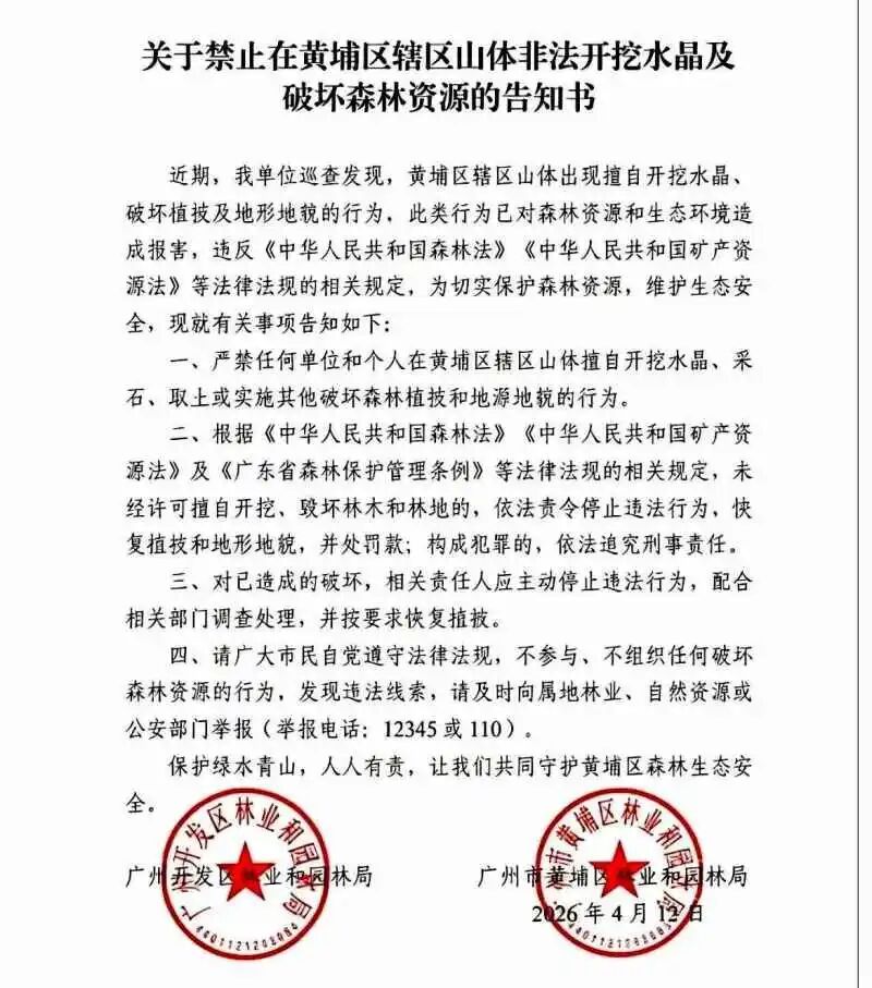 广州一地现“淘晶热”，官方发布告知书明确制止