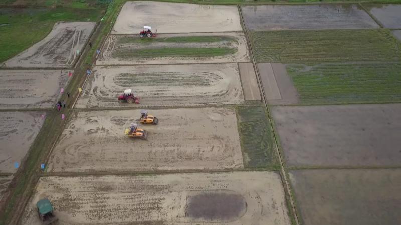 江西遂川：7.9万亩油菜开镰收割 &nbsp;抢收抢种无缝衔接