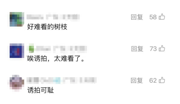 铁丝、死蛙、放狗吓鸟，网友称广州多个公园出现“诱拍装置”，园方回应