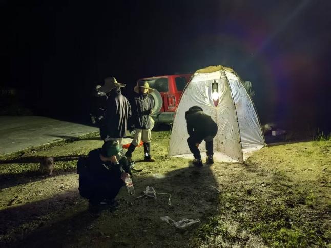 西藏昆虫又添3种尺蛾科新物种