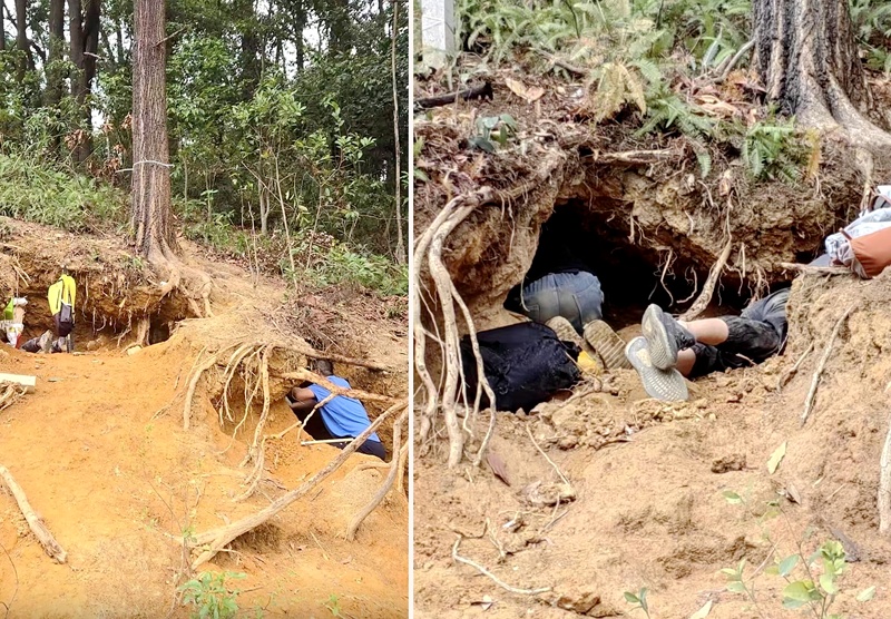 广州一地现“淘晶热”，官方发布告知书明确制止