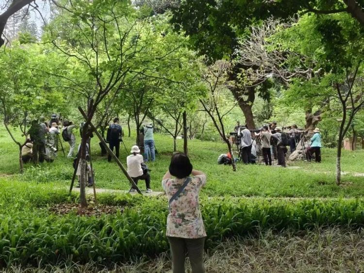 铁丝、死蛙、放狗吓鸟，网友称广州多个公园出现“诱拍装置”，园方回应