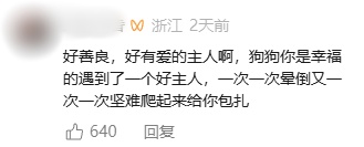 女子给自家狗狗处理伤口，满地是血，期间晕血倒地6次，狗狗：要不你先躺会儿