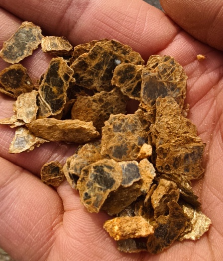 8岁娃爬山发现这两样东西，推测山下有黄金，爸爸一查：真有线索