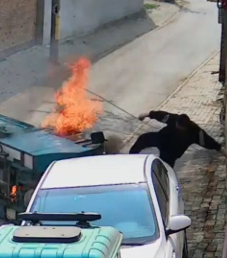 他猛踹三脚，救了一条命……