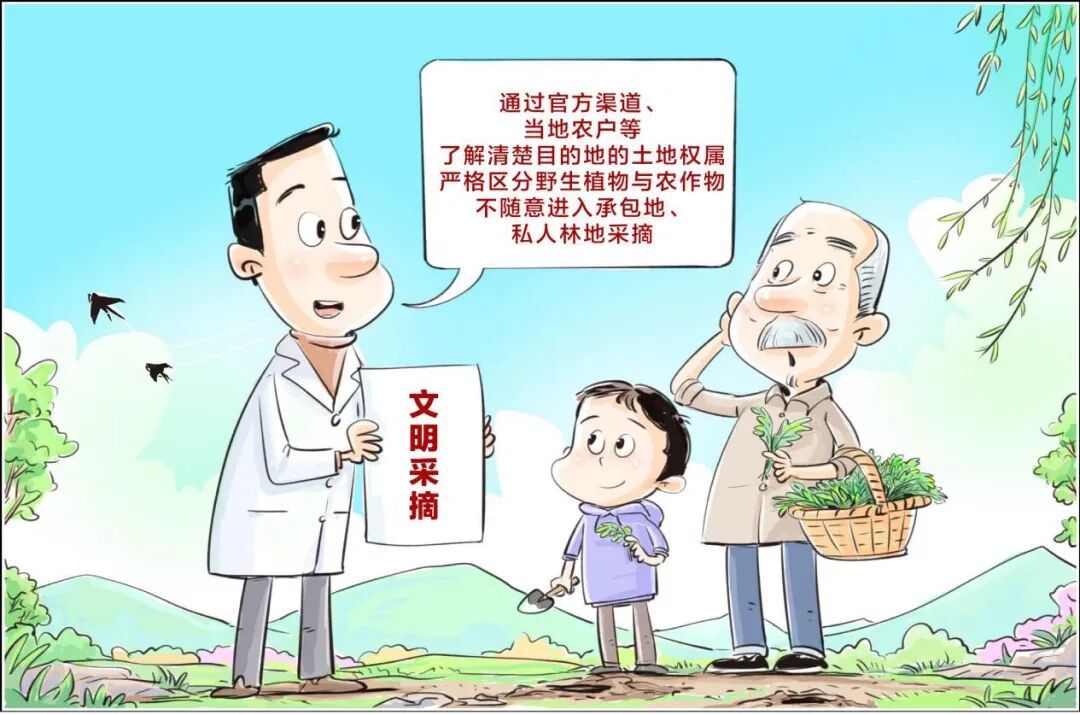 挖野菜，咋就“挖”上了热搜？