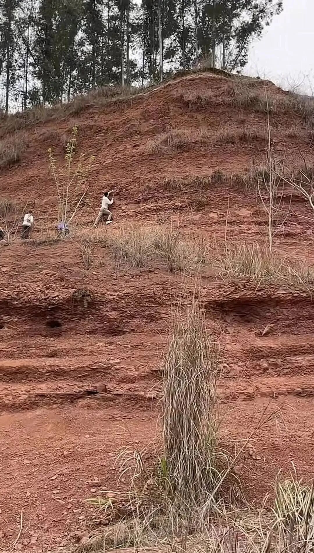 广州一地现“淘晶热”，官方发布告知书明确制止