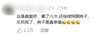 女子给自家狗狗处理伤口，满地是血，期间晕血倒地6次，狗狗：要不你先躺会儿