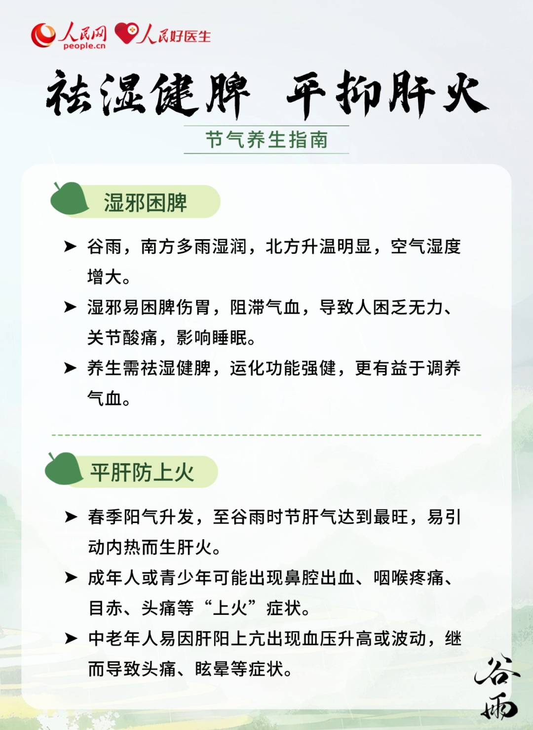 甩掉黏腻“湿气”！谷雨养生指南来了