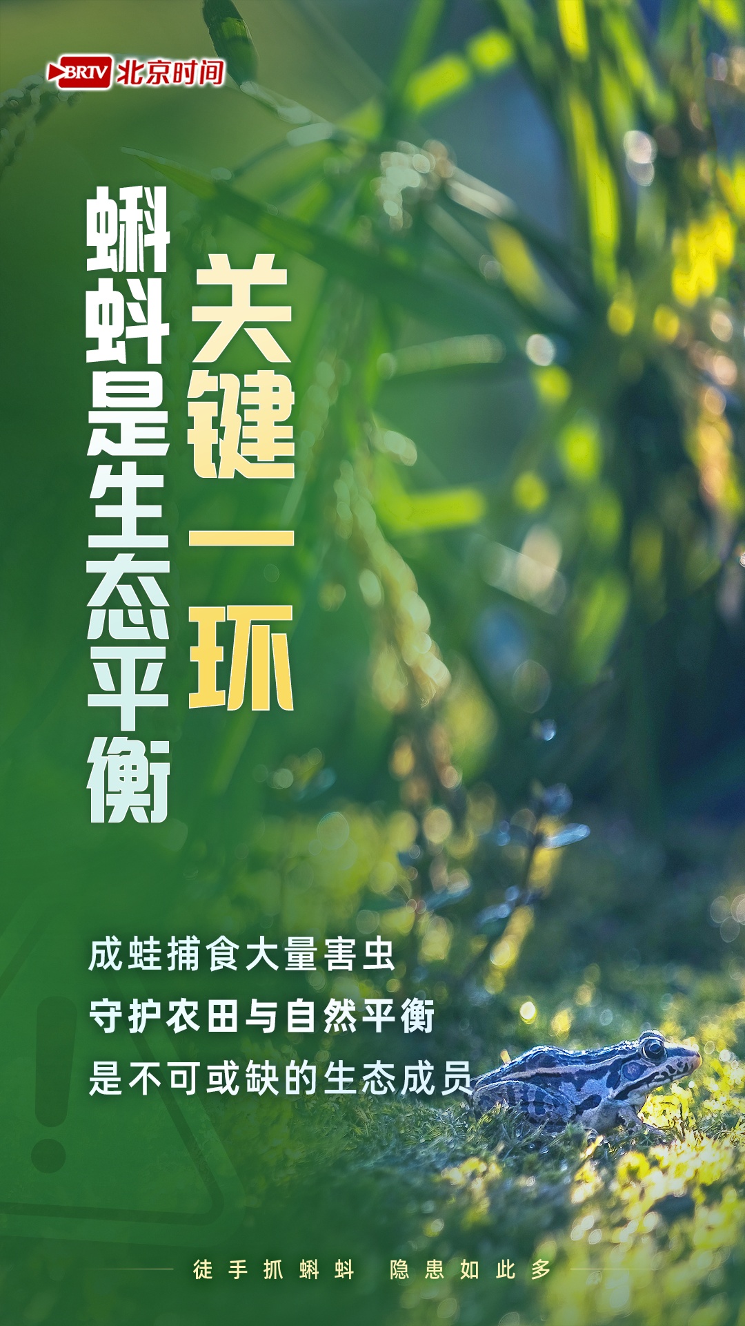 不捞不碰不带走！带娃徒手捞蝌蚪，竟有这么多健康风险