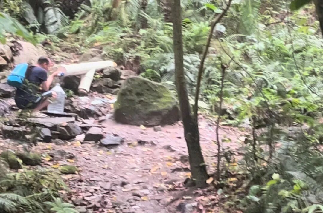 广州多家森林公园内都有人生火做饭，提醒：涉嫌违法，最高可被罚两千元