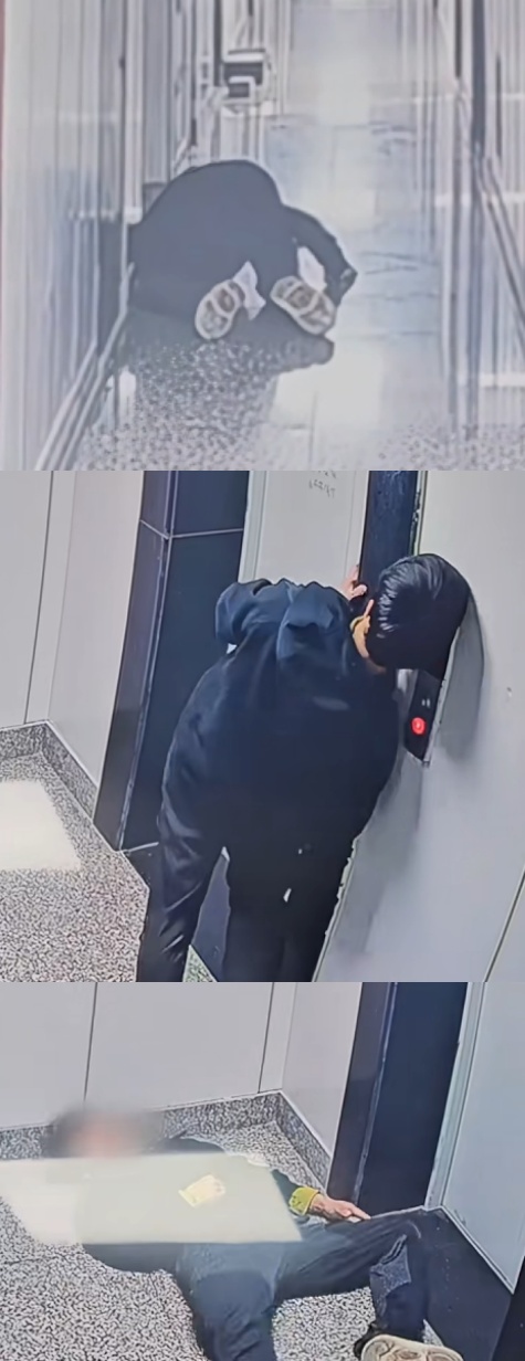 女子给自家狗狗处理伤口，满地是血，期间晕血倒地6次，狗狗：要不你先躺会儿