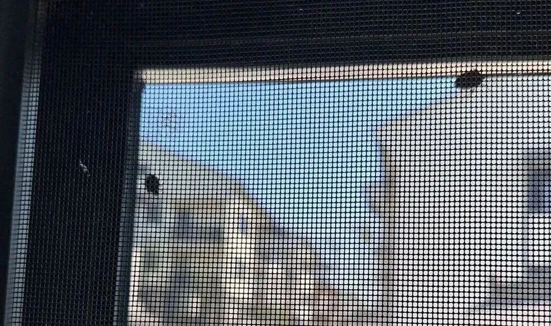 千万别摸！有腐蚀性！最近又到高峰期，很多人已在家中发现……