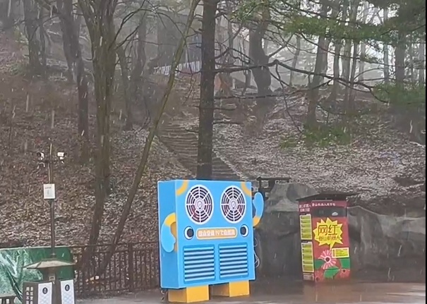 下雪了！河南一地四月飞雪