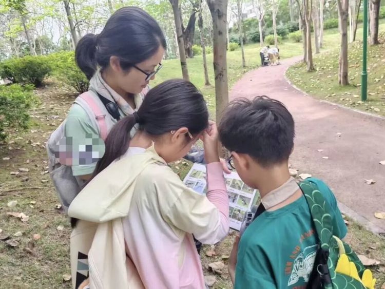 铁丝、死蛙、放狗吓鸟，网友称广州多个公园出现“诱拍装置”，园方回应