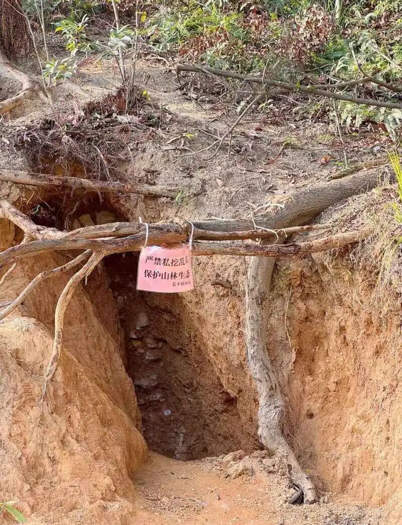 广州一地现“淘晶热”，官方发布告知书明确制止