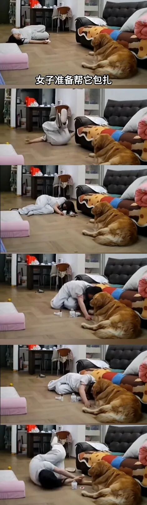 女子给自家狗狗处理伤口，满地是血，期间晕血倒地6次，狗狗：要不你先躺会儿