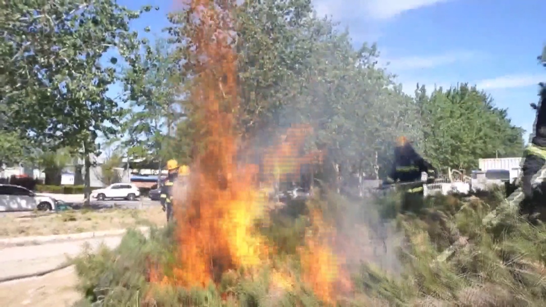 杨柳絮飘飞 警惕“白色”火患！