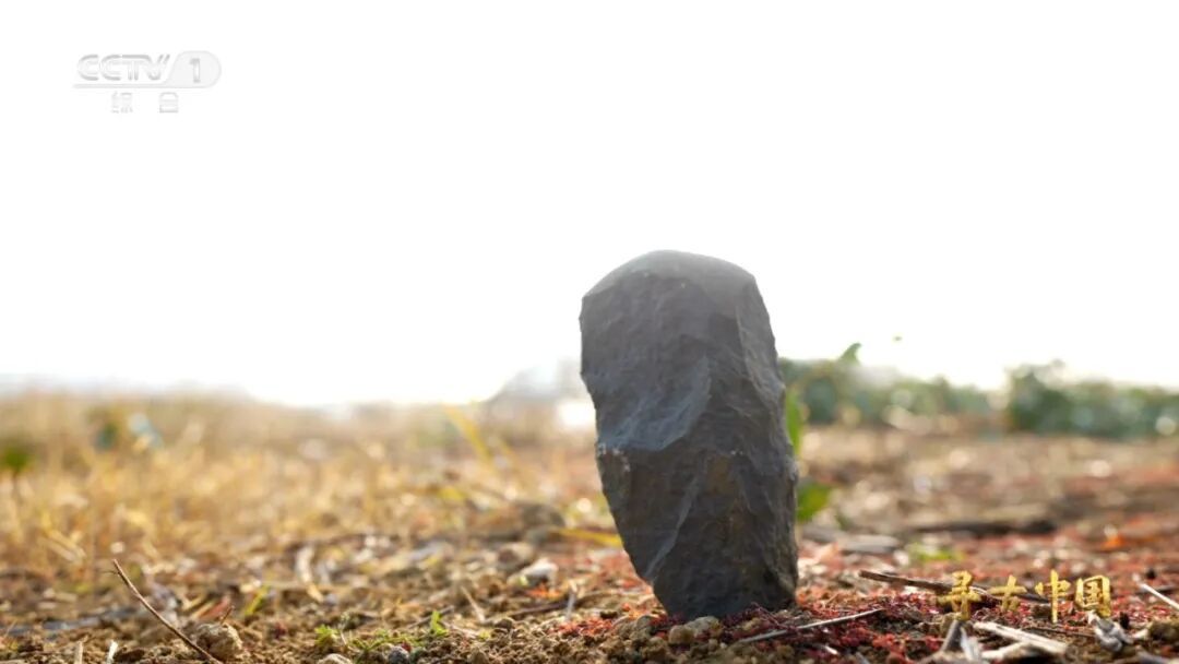 手斧手镐薄刃斧……四川皮洛遗址出现远古人类“生存工具箱”