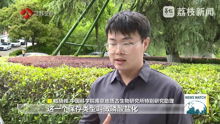 科研新发现：环节动物化石记录提前至5.35亿年前