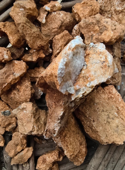 “爸爸，这座山下有黄金……”8岁男孩凭草辨矿？网友：这就是爱学习的“含金量”