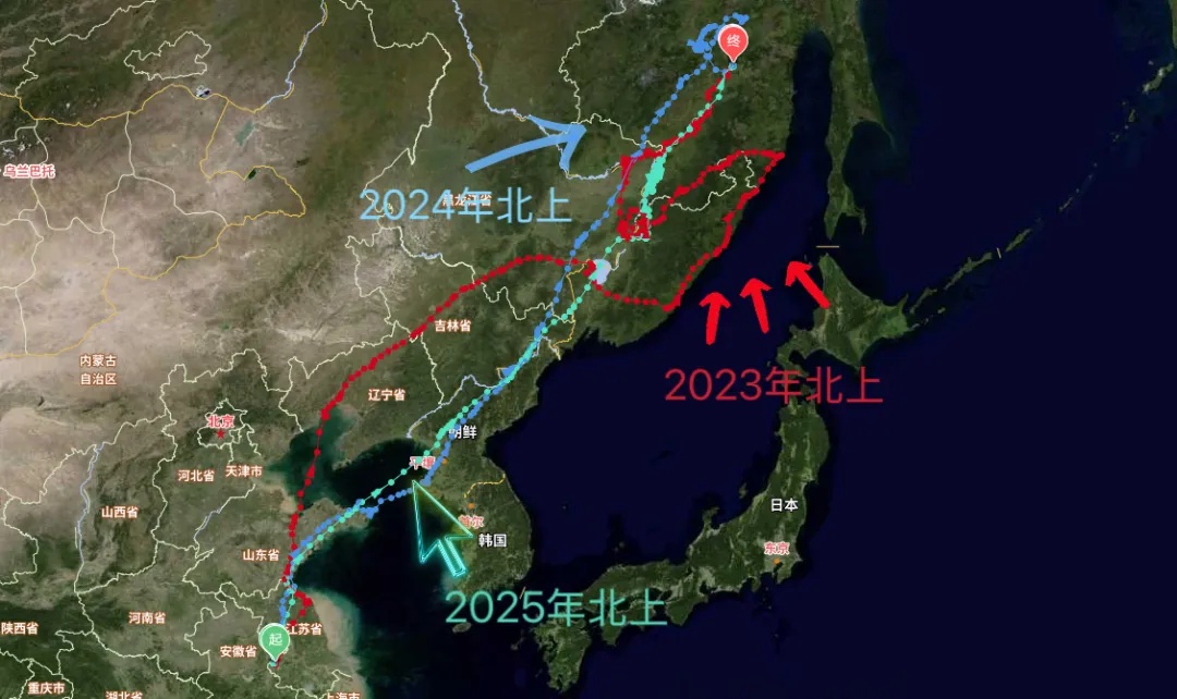 红山动物园官宣：黑鸢5号当爸爸啦！
