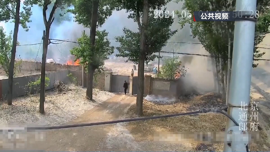 杨柳絮飘飞 警惕“白色”火患！