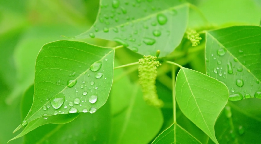 暴雨大暴雨！广东今晚将有强降水、强对流天气