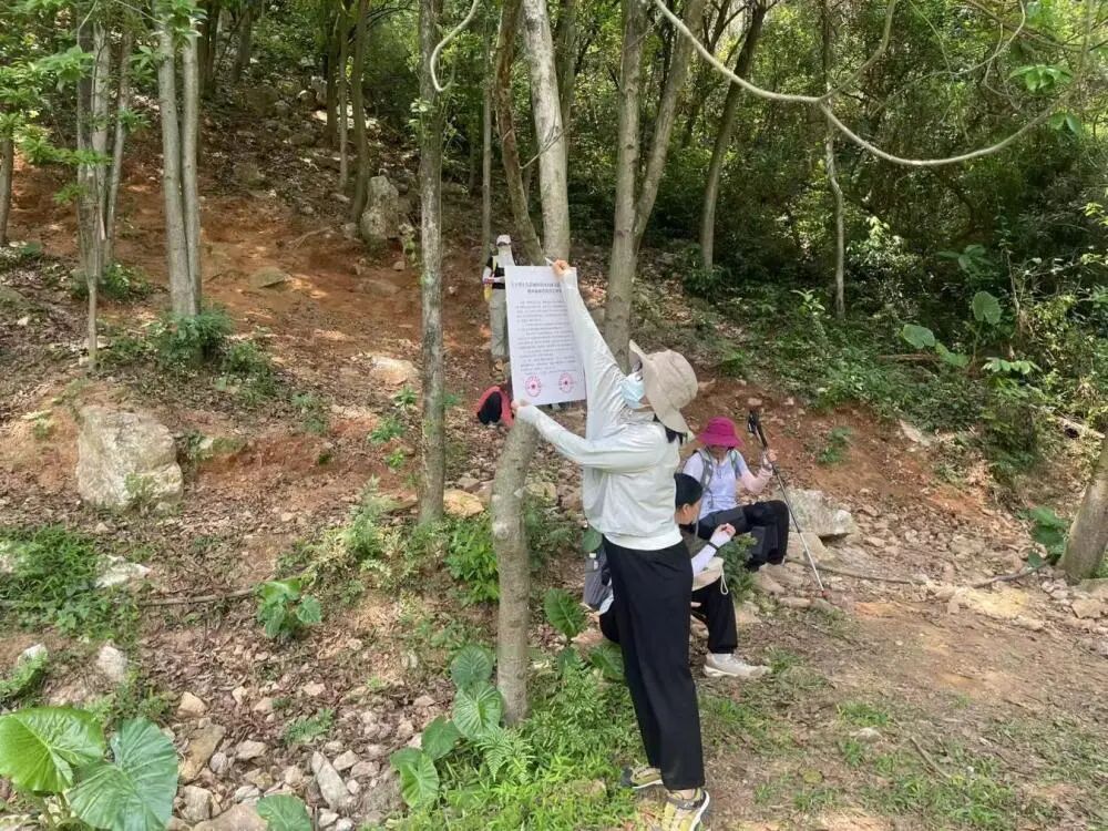 “今天又疯狂出货了，掏到了水晶窝！”