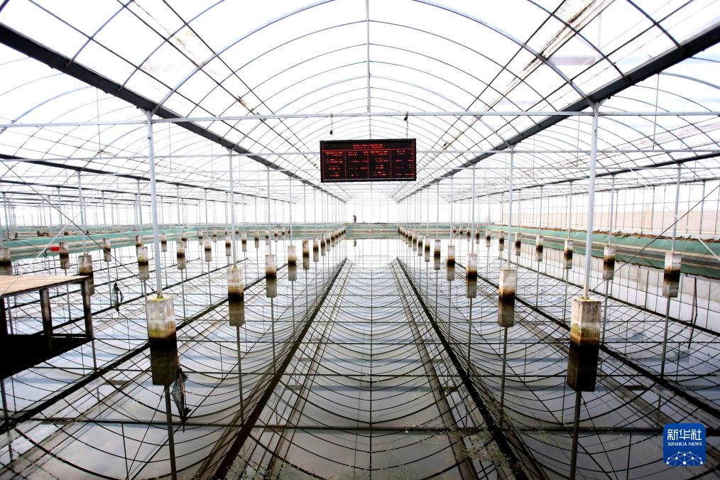 经济大省调研行丨在盱眙看小龙虾如何做成大产业