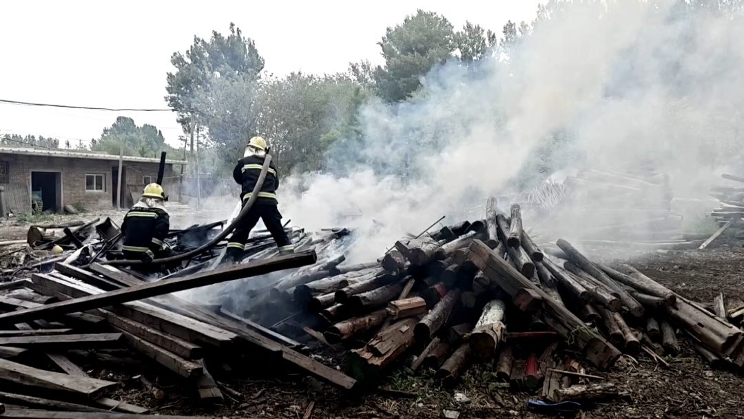 杨柳絮飘飞 警惕“白色”火患！