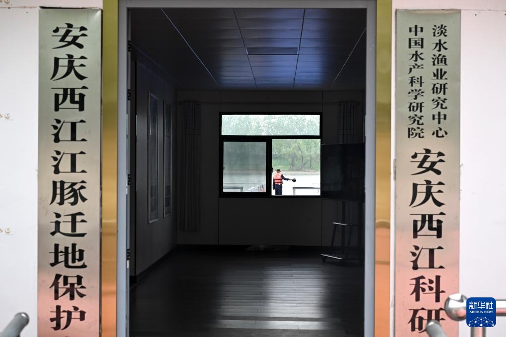 从退捕渔民到“江豚奶爸” ：用心守护水中精灵