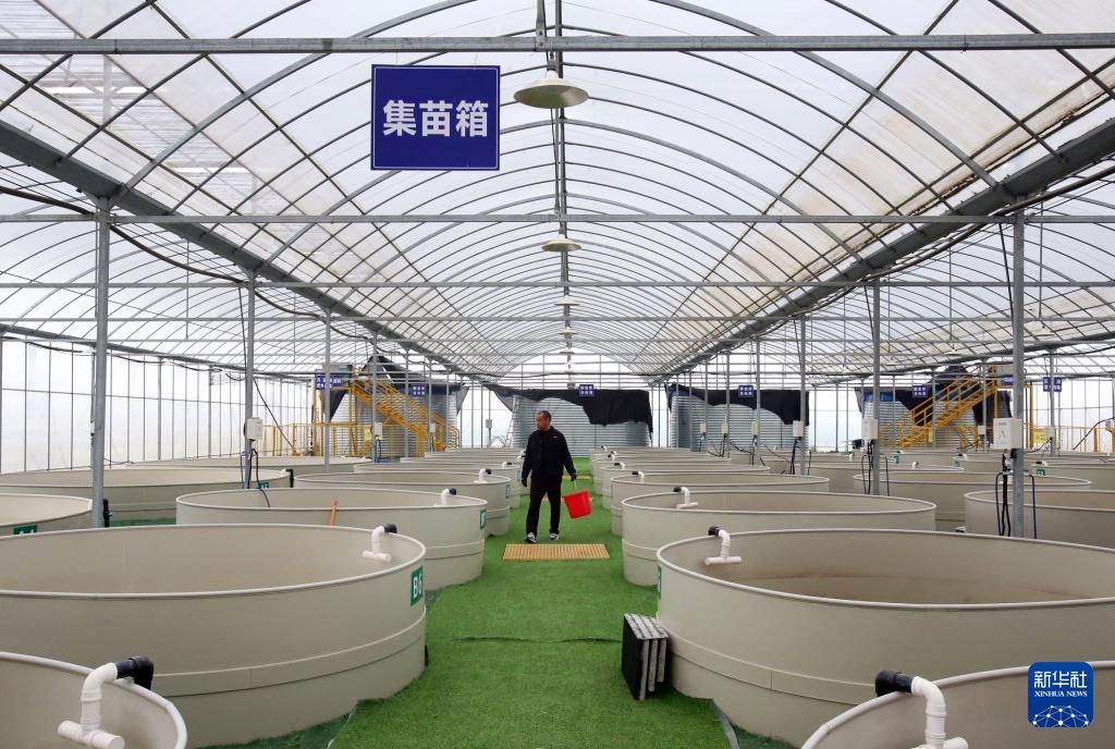 经济大省调研行丨在盱眙看小龙虾如何做成大产业