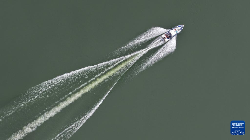 从退捕渔民到“江豚奶爸” ：用心守护水中精灵