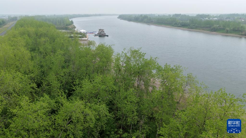 从退捕渔民到“江豚奶爸” ：用心守护水中精灵