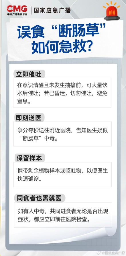 3克即致命！复刻莫氏鸡煲千万别用错料