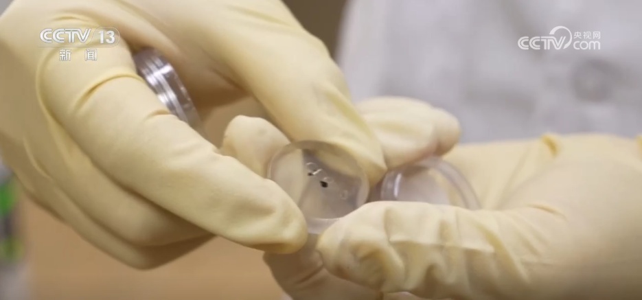 我国发现月球新矿物“铈镁嫦娥石” 中国式浪漫都藏进名字里