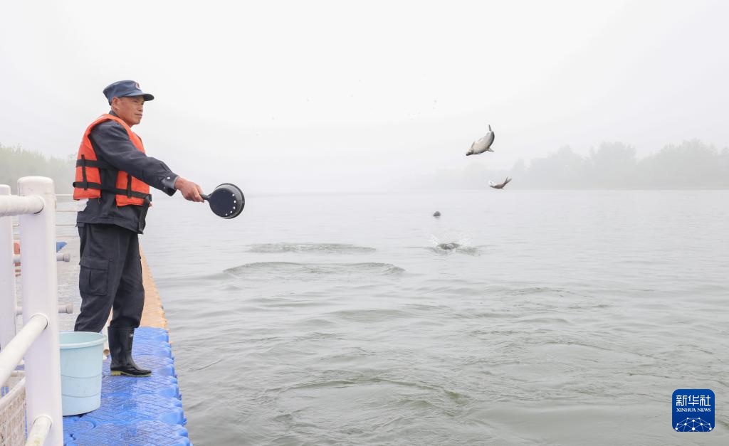 从退捕渔民到“江豚奶爸” ：用心守护水中精灵