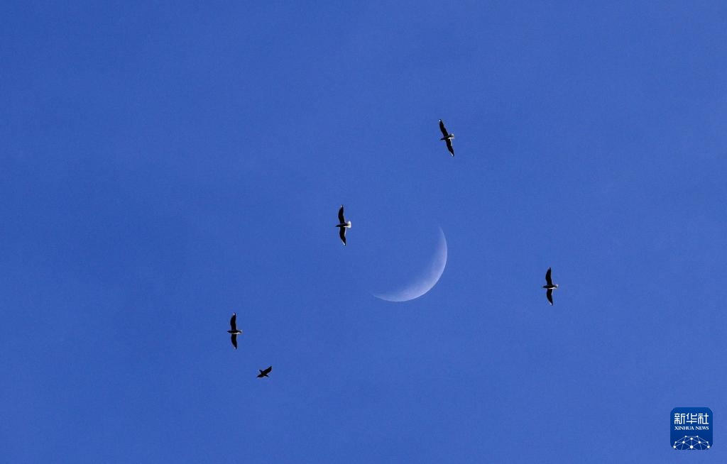 星空相册丨年度最大蛾眉月登场